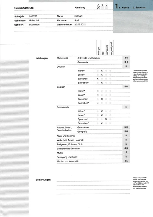 Vorschau meines originalen Schulzeugnisses
